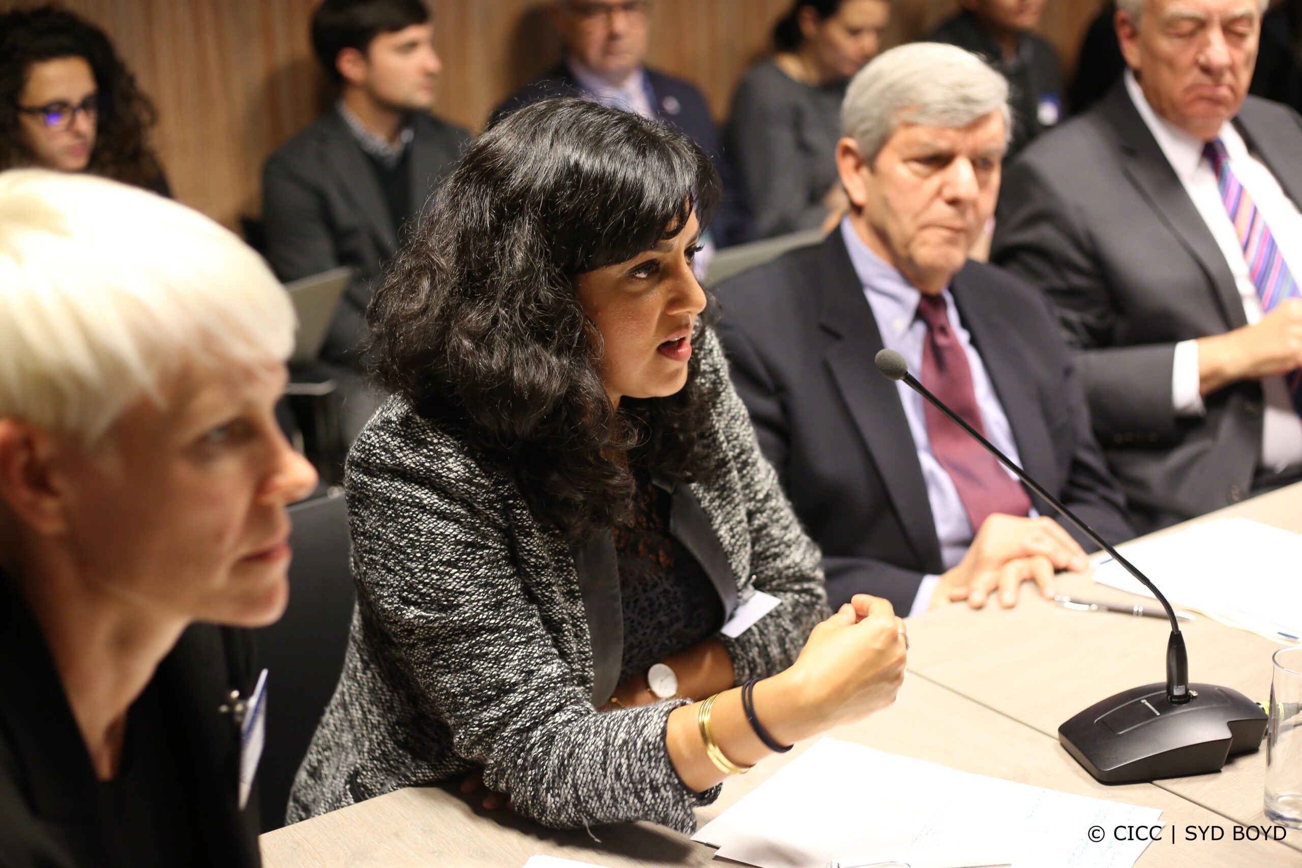 Akila Radhakrishnan ‘09 speaking into a microphone