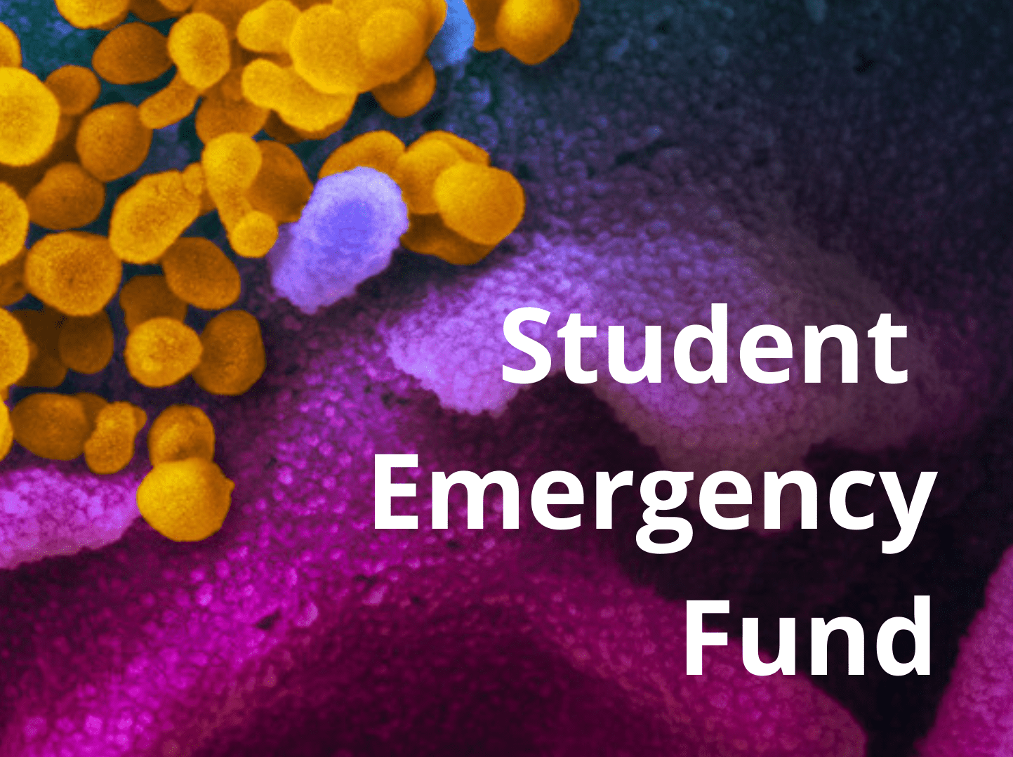 Student Emergency Fund banner image