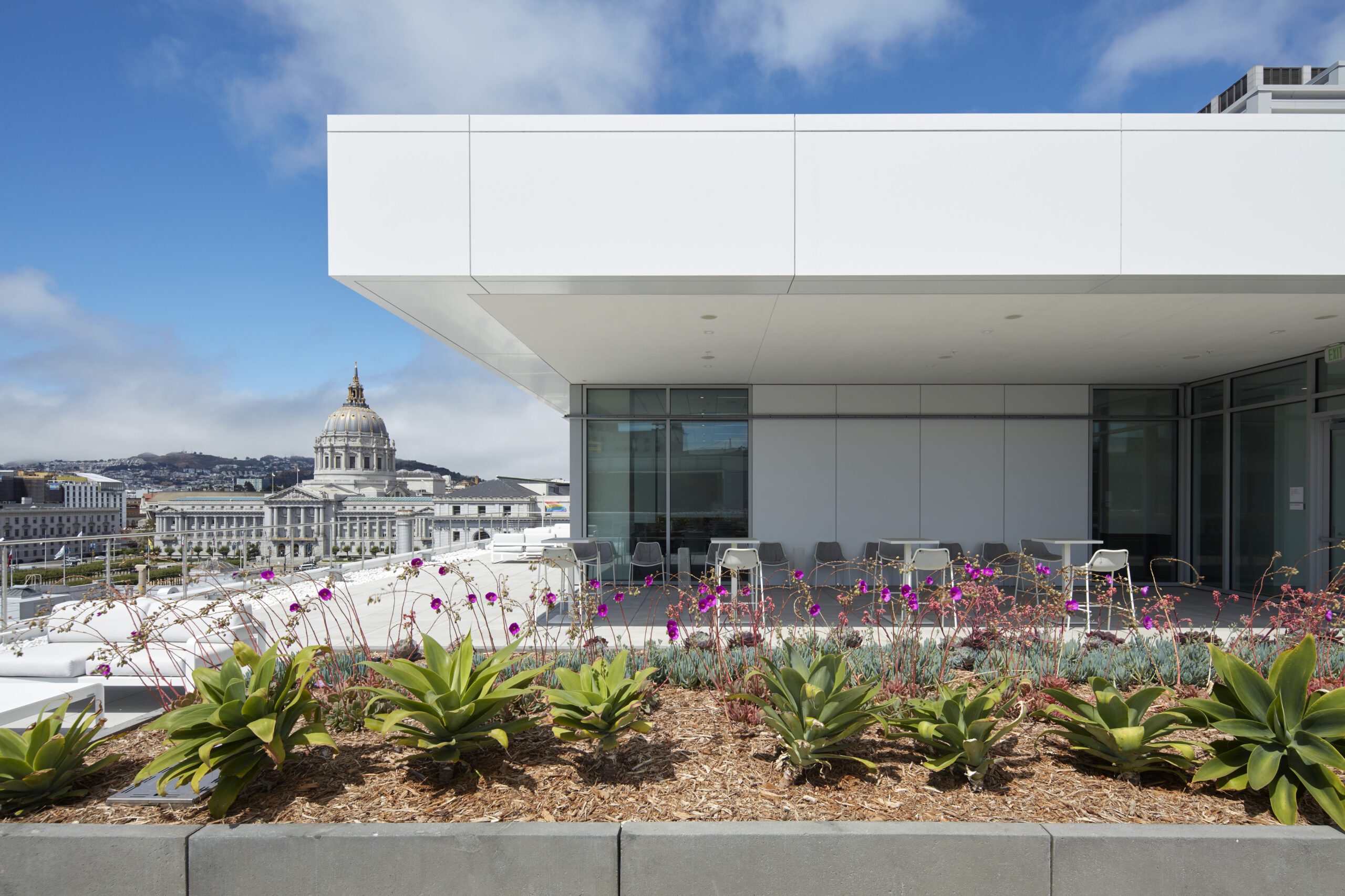White rooftop building with a bed of flowers. Backdrop: SF city hall and cityscape