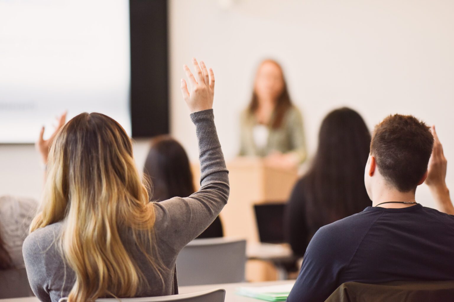 A student seen from behind raises her hand in a classroom